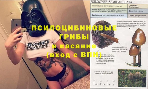 дживик Зерноград
